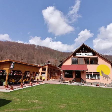 Pensiunea Colt Alb Baile Homorod Exterior photo