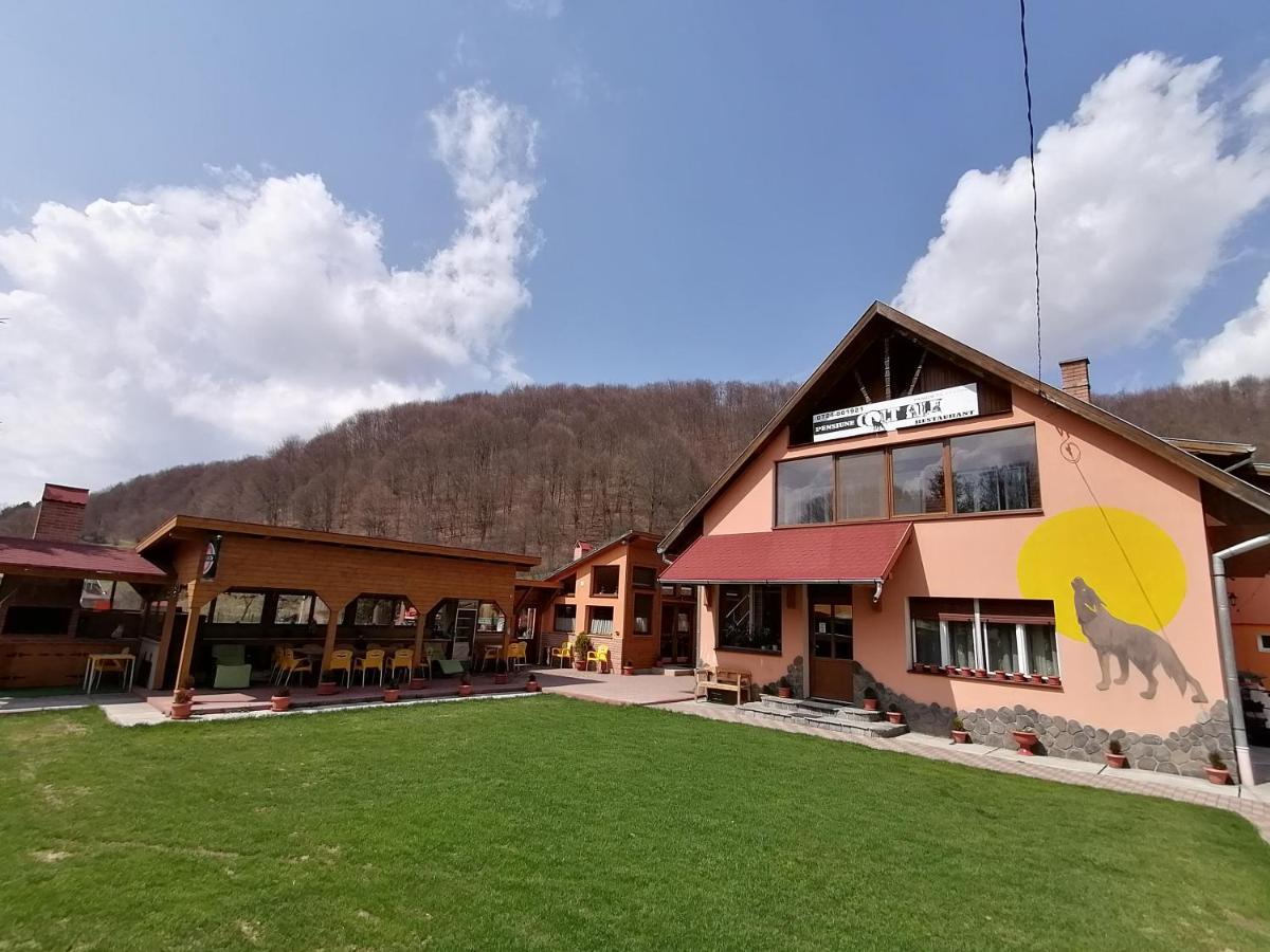 Pensiunea Colt Alb Baile Homorod Exterior photo